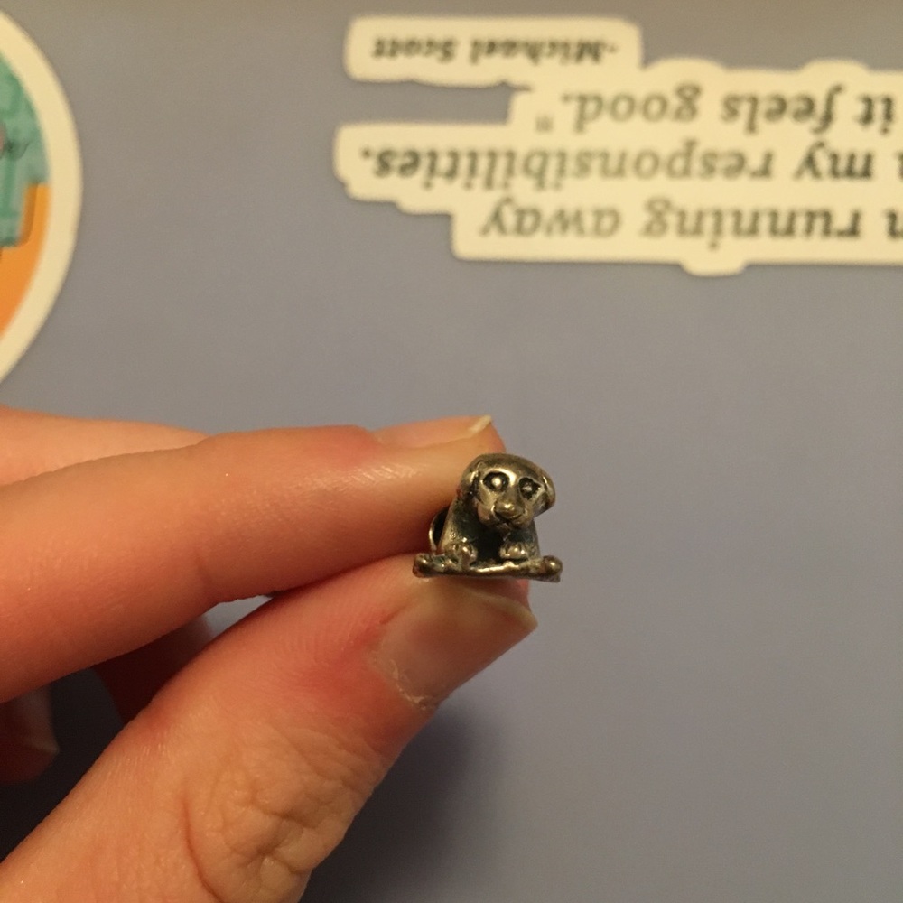 Pandora charm